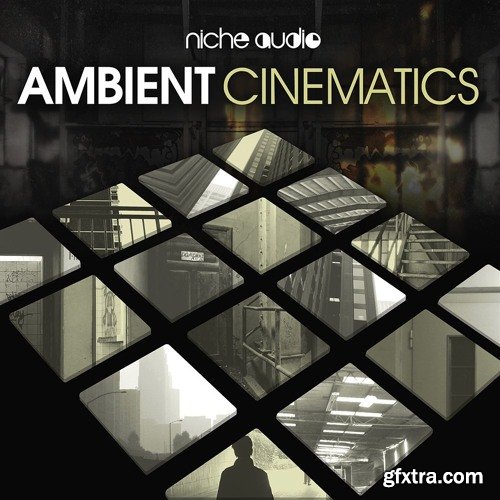 Niche Audio Ambient Cinematics Maschine 2.6.1+-FANTASTiC
