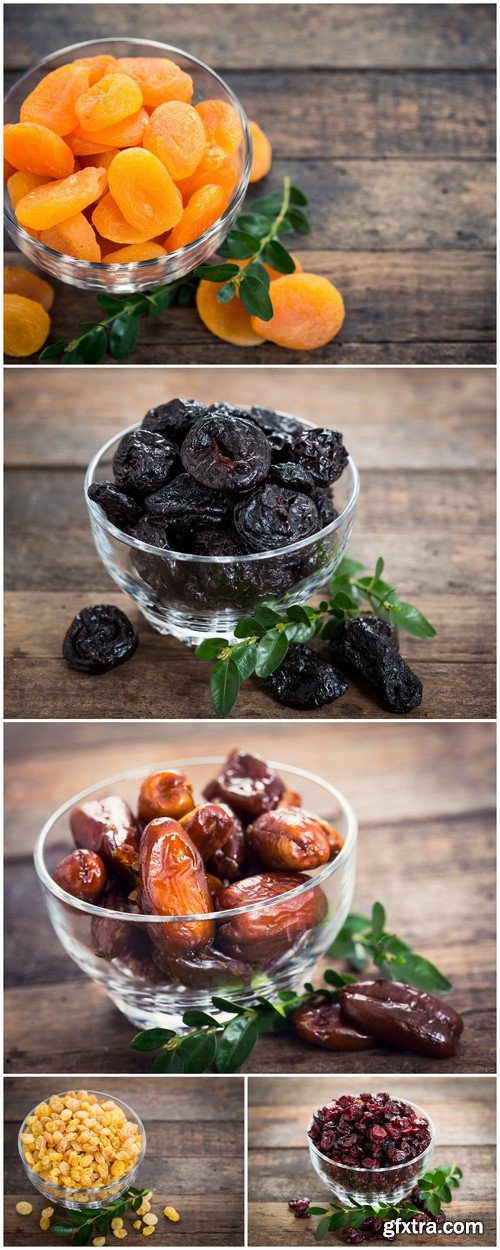 Dried apricots prunes raisins dates 5X JPEG