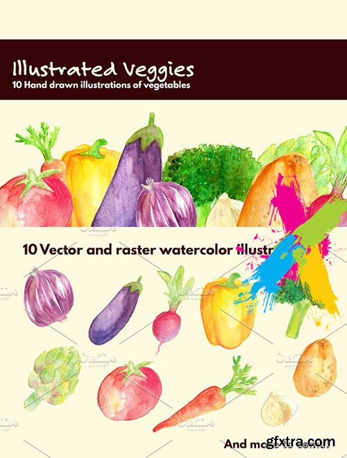 CM - Illustrated Veggies 1615266