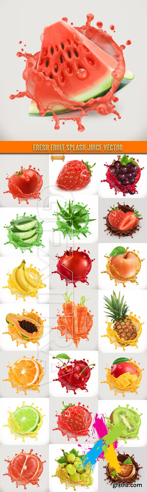 Fresh fruit splash juice vector