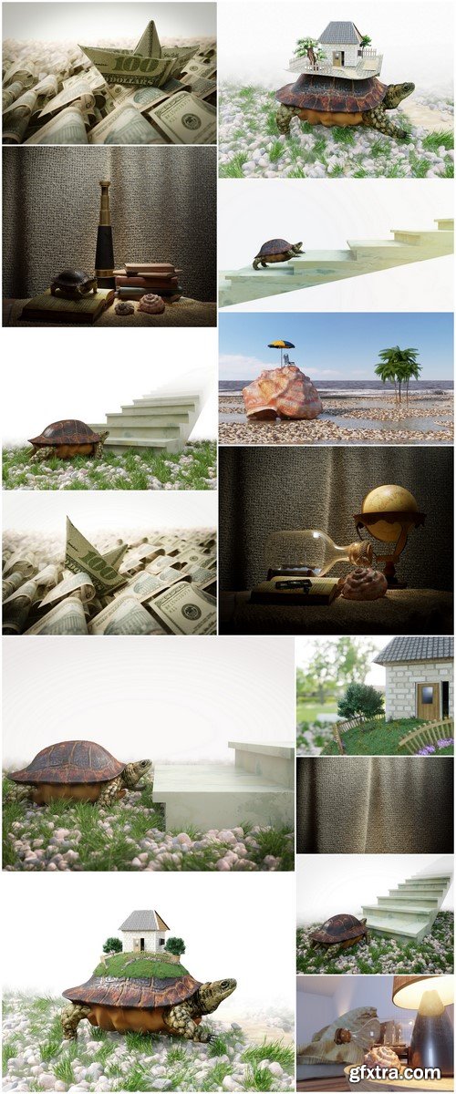 Turtle goal concept 14X JPEG