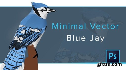 Minimal Vector: Blue Jay bird (Photoshop)