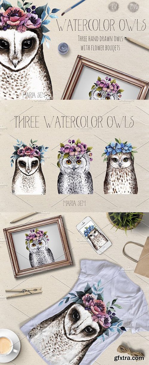 CM - Watercolor Owls 1559736