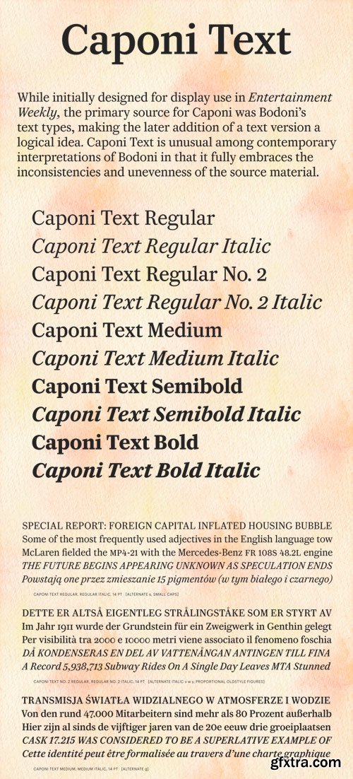 Caponi Text Font Family