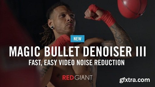 Red Giant Magic Bullet Denoiser III v3.0