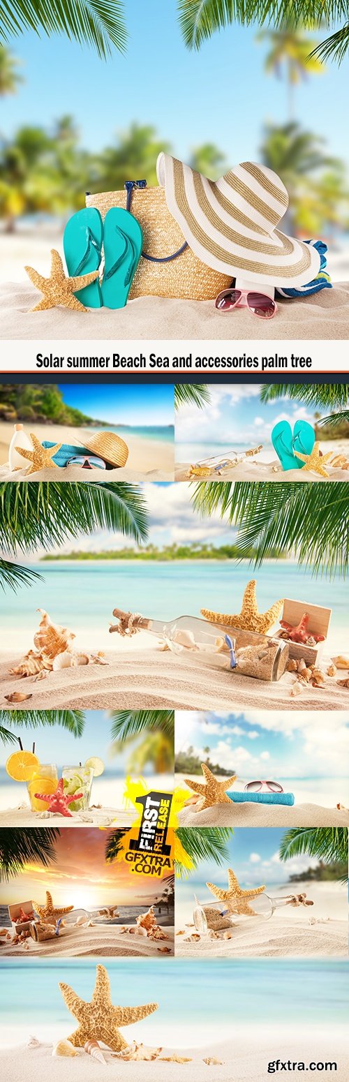 Solar summer Beach Sea and accessories palm tree