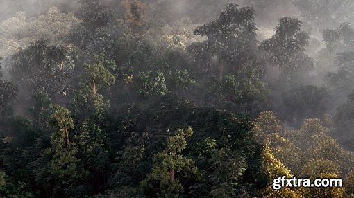 Building a Realistic Aerial Forest Scene in 3ds Max
