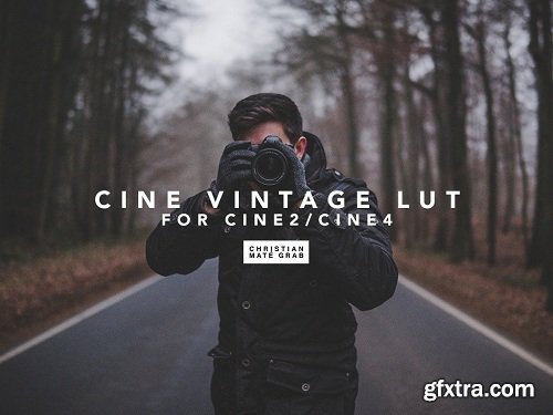 Cine Vintage LUT by Christian Mate Grab (Win/Mac)