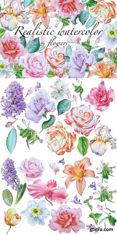 CM - Realistic watercolor flowers 1626811