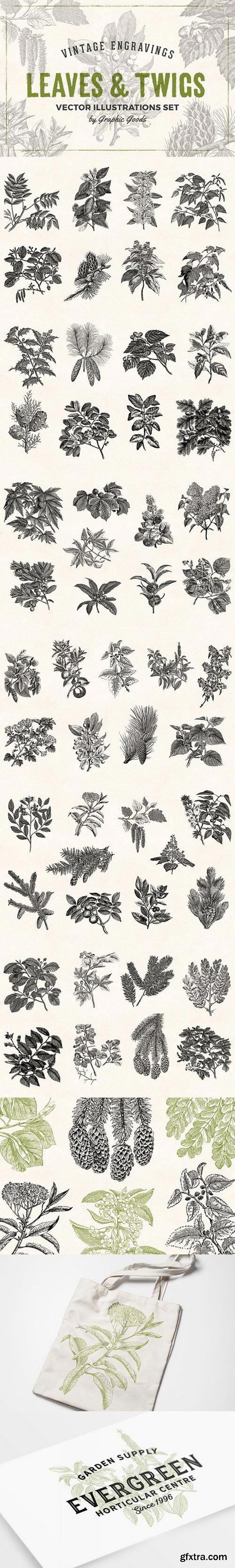 CM - Leaves & Twigs Vintage Illustrations 1633688