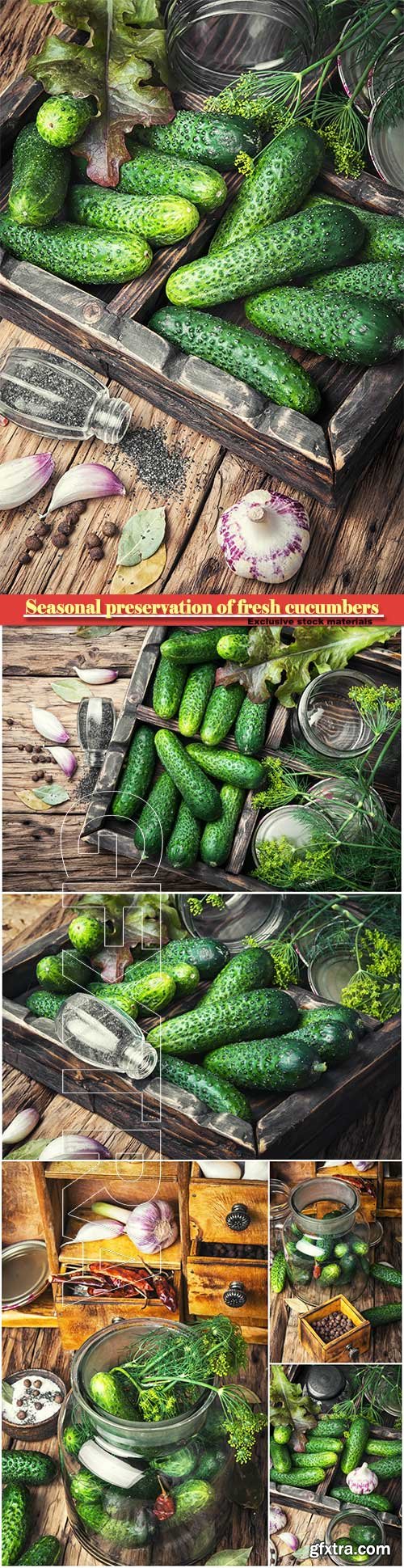 Seasonal preservation of fresh cucumbers for the winter