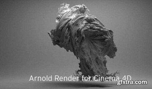 Solid Angle Cinema 4D To Arnold v2.5.0 for Cinema 4D