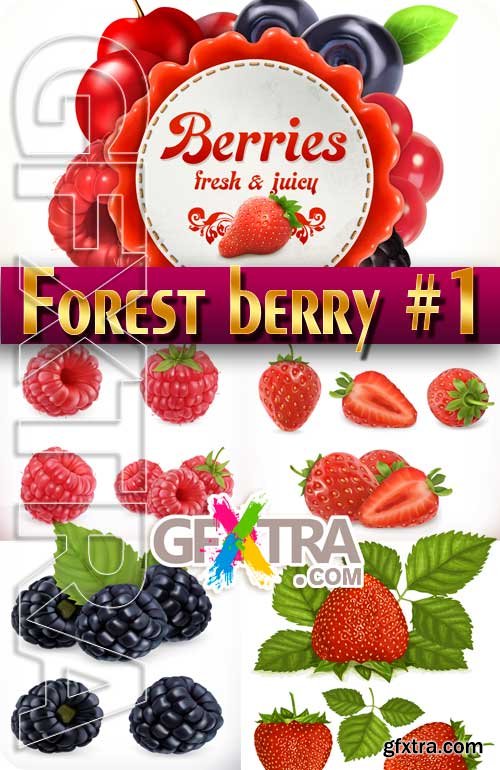 Forest berry #1 - Stock Vector