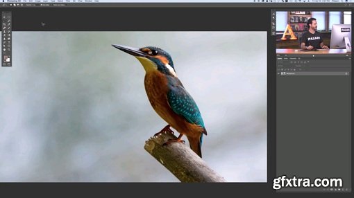 Phlearn Pro - Photoshop Basics: The Magnetic Lasso Tool