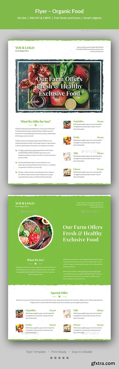 Graphicriver Flyer – Organic Food 20450802