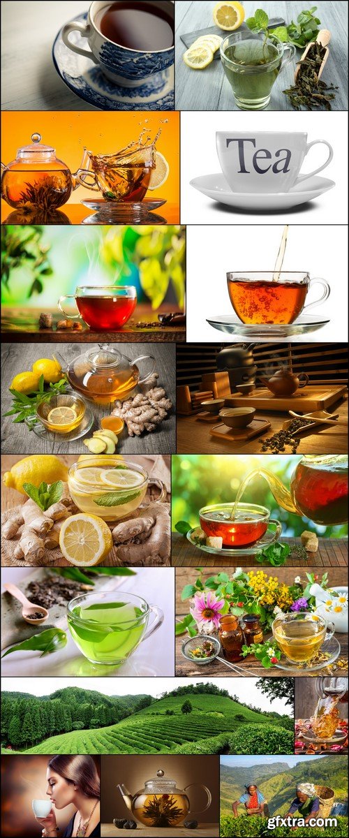 Tea with lemon, herbs and ginger 17X JPEG