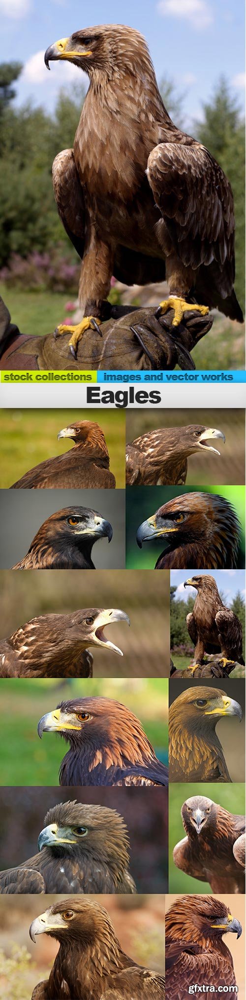 Eagles, 12 x UHQ JPEG