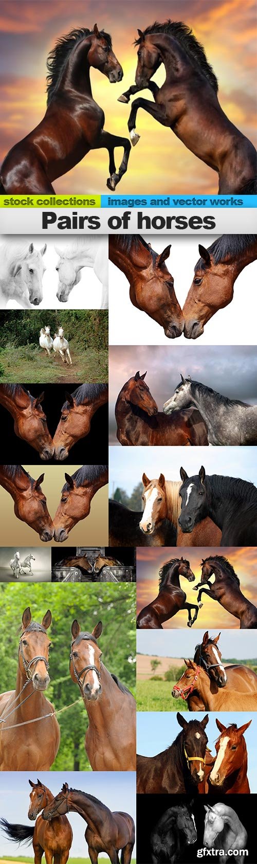 Pairs of horses, 15 x UHQ JPEG