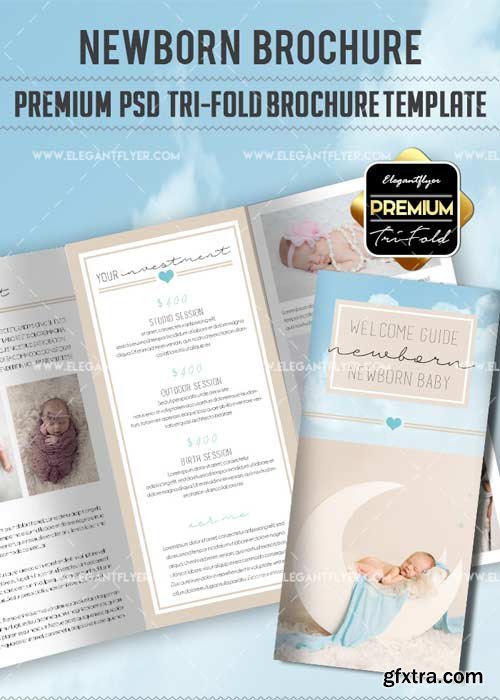 Newborn V10 Premium Tri-Fold PSD Brochure Template