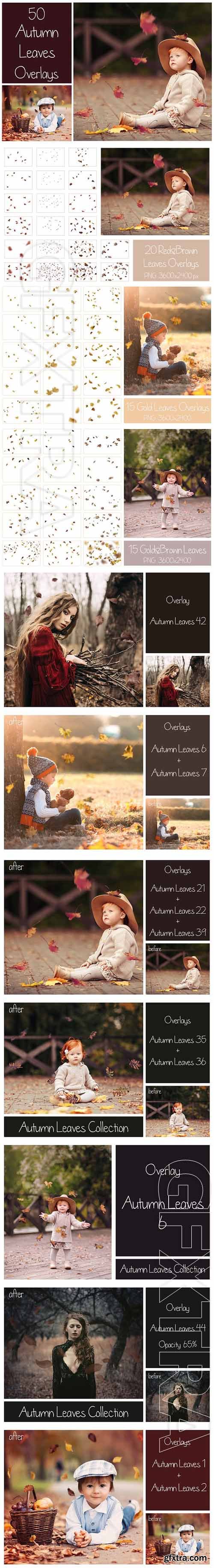 CreativeMarket - 50+ Autumn Leaves Overlays 1739221