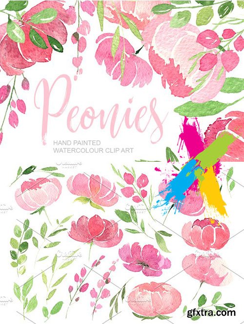 CreativeMarket - Pink watercolour peonies PNG clipart 1738650