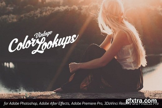 Retro Vintage Color Lookup Bundle for AE, PS, Premiere, Resolve and FCPX (Win/Mac)