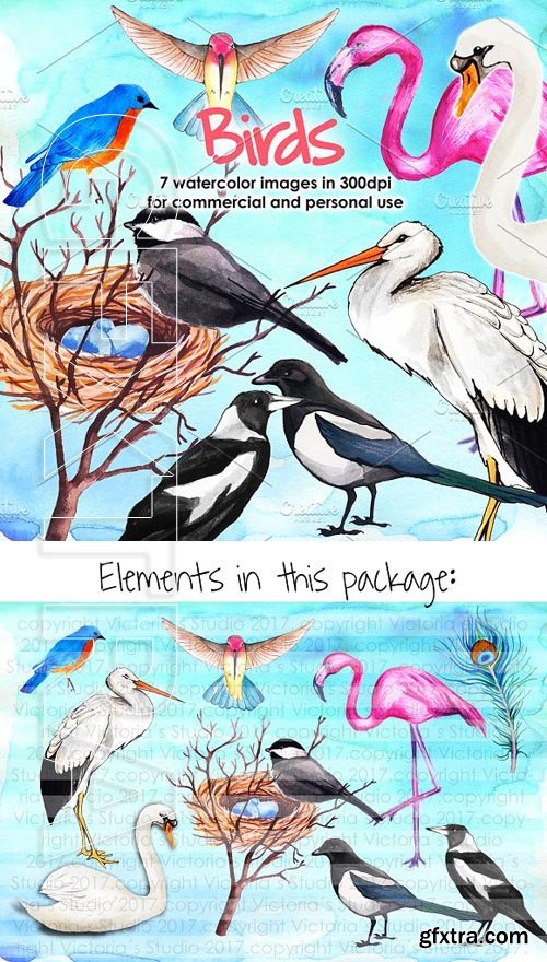 CreativeMarket - Watercolor Set Birds 1756967