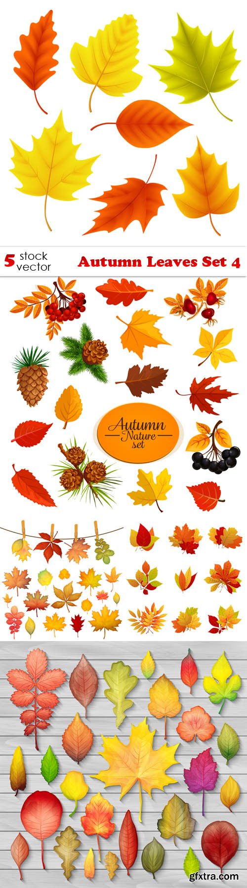 Vectors - Autumn Leaves Set 4