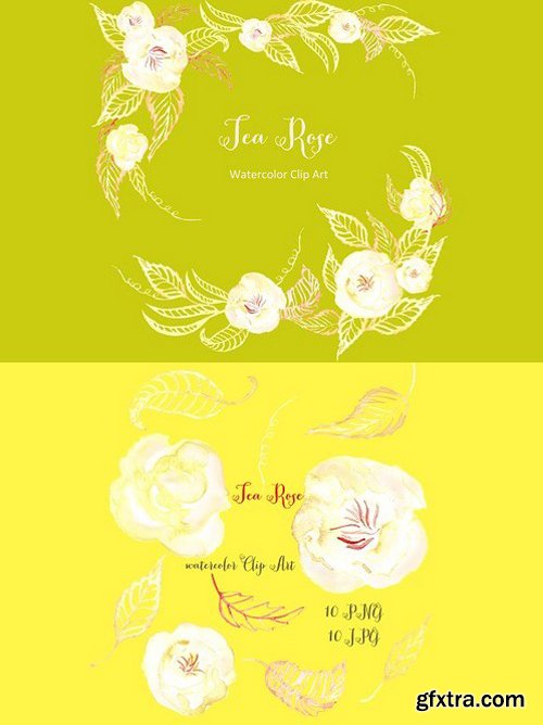 CM - Tea roses set. Watercolor Cip Art 279821