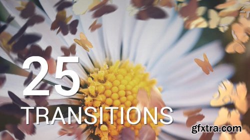 Videohive Butterflies Transitions 12016750