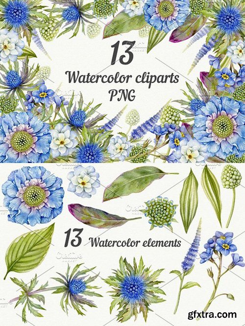 CM - Blue Watercolor floral clipart. PNG 1388323