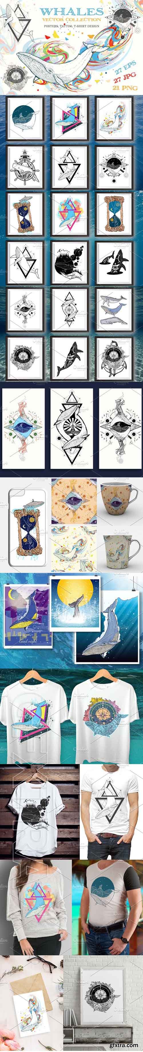 CreativeMarket - Whale collection 1802997
