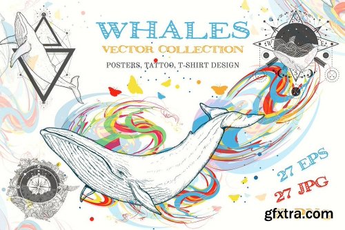 CreativeMarket Whale collection 1802997