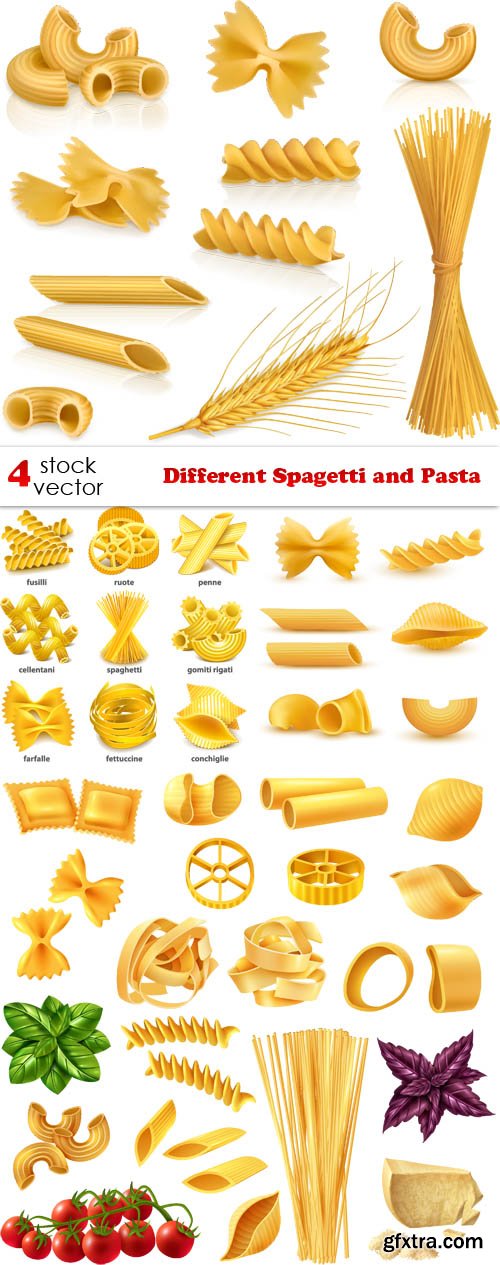Vectors - Different Spagetti and Pasta