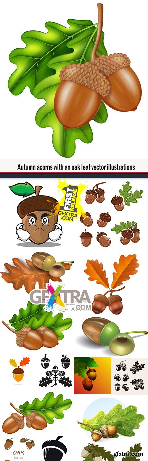 Autumn acorns with an oak leaf vector illustrations