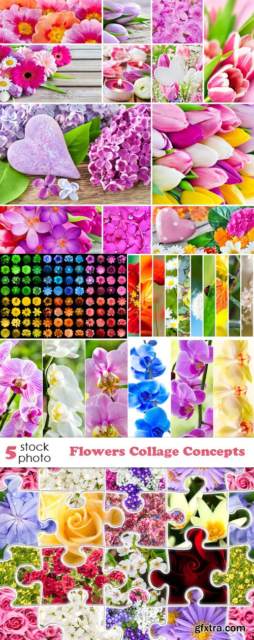 Photos - Flowers Collage Concepts