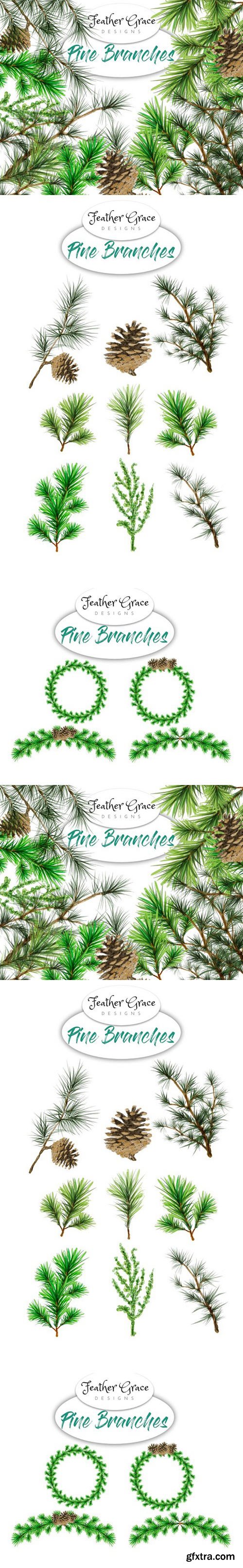 CM - Pine Branches 1312098