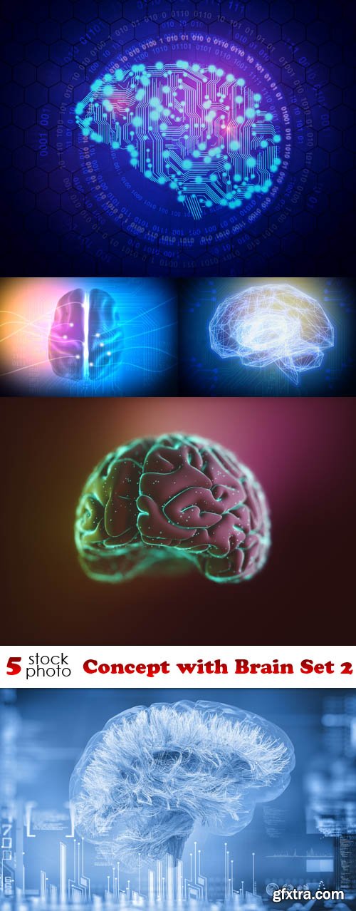 Photos - Concept with Brain Set 2