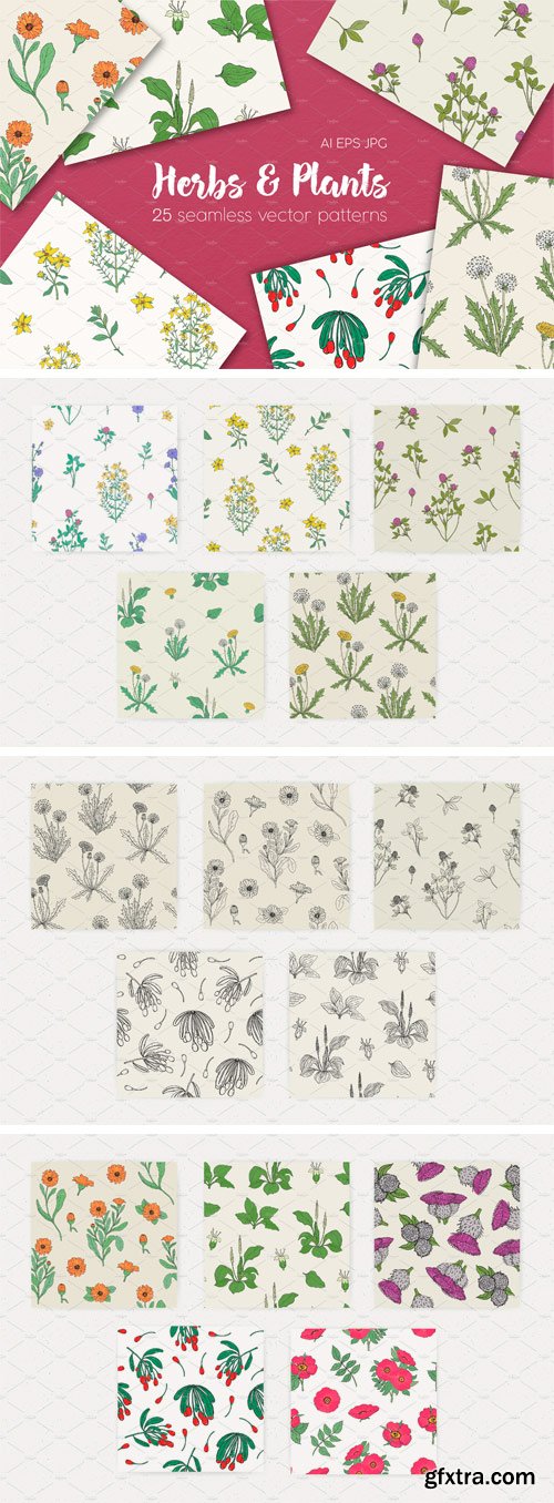 CM - Seamless Patterns of Herbs and Plant 1838525