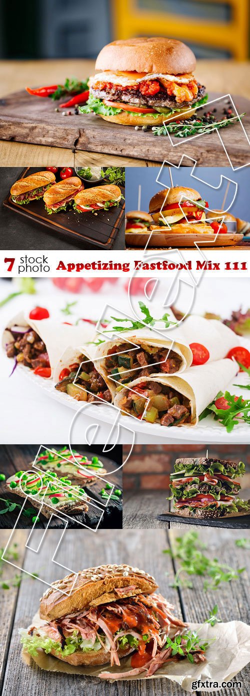 Photos - Appetizing Fastfood Mix 111