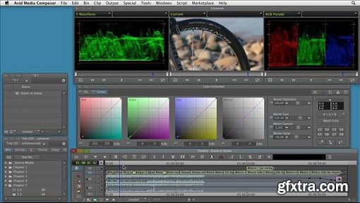 Color Correction: Creating a Polished Look in Avid Media Composer