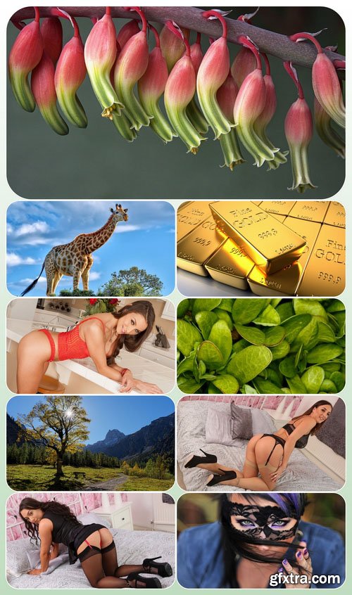 Beautiful Mixed Wallpapers Pack 532