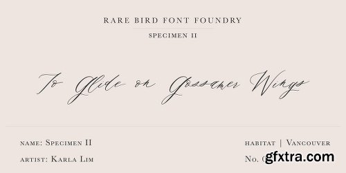 Rare Bird Specimen II Font