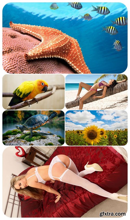 Beautiful Mixed Wallpapers Pack 540