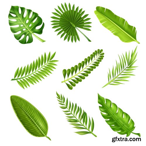 Vectors - Green Realistic Leaves 4