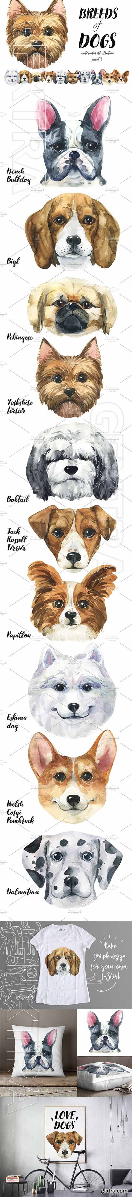 CreativeMarket - Breeds of dogs - watercolor Part 1 1976234