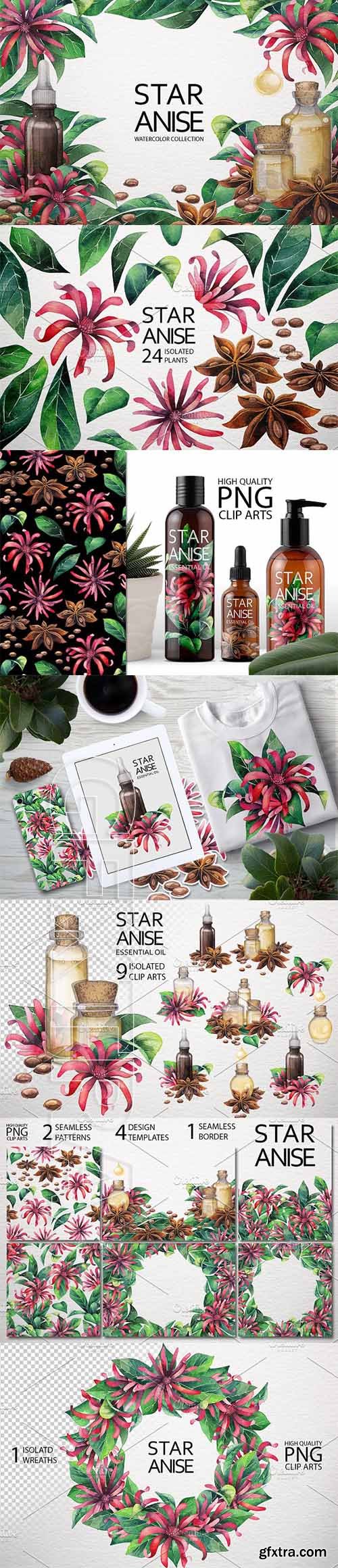 CreativeMarket - Watercolor Star Anise collection 2002808