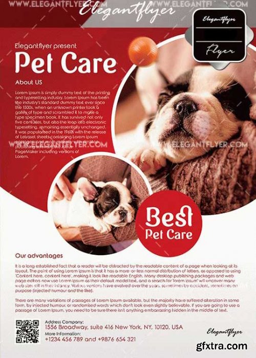 Pet Care V9 Flyer Template