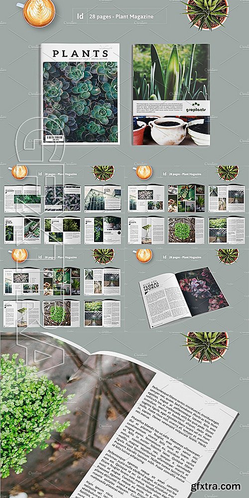 CM - PLANTS Magazine Portfolio 1386486