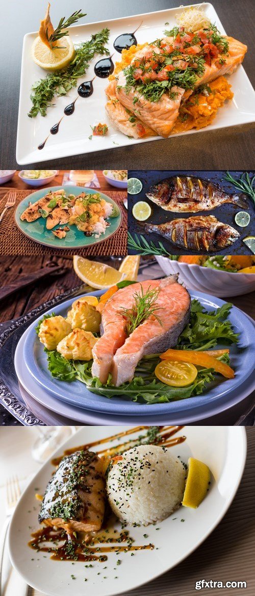 Photos - Tasty Fish Dishes 51